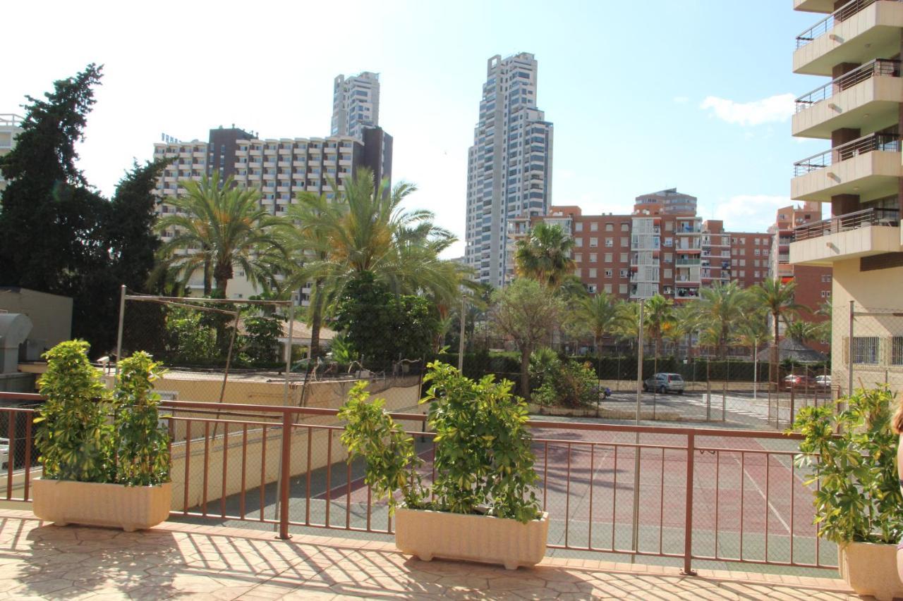 Acuarium Apartment Benidorm Ngoại thất bức ảnh